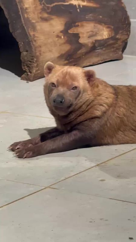 Желаем вам найти человека, который будет смотреть на вас так же