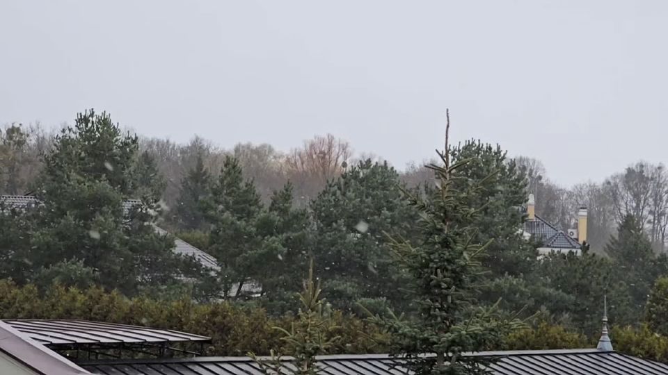 Снег в Калининграде сейчас