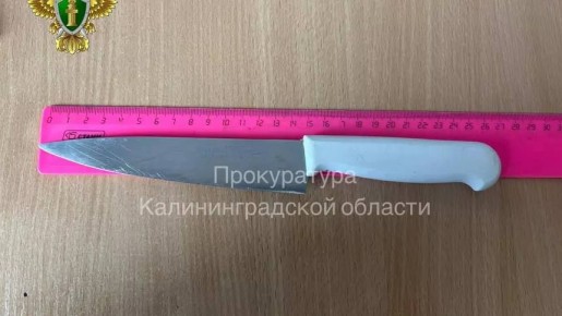 С жителя Гвардейского района, который ранил ножом защищавшего мать ребёнка, требуют компенсацию