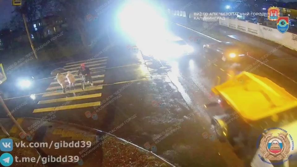 По предварительным данным, 20 ноября 2025 года в 17:30 на улице Нарвская 62 в городе Калининграде 52-летний водитель автомобиля марки «Шкода», следуя со стороны улицы Челнокова в направлении улицы Сибирякова, при выполнении...