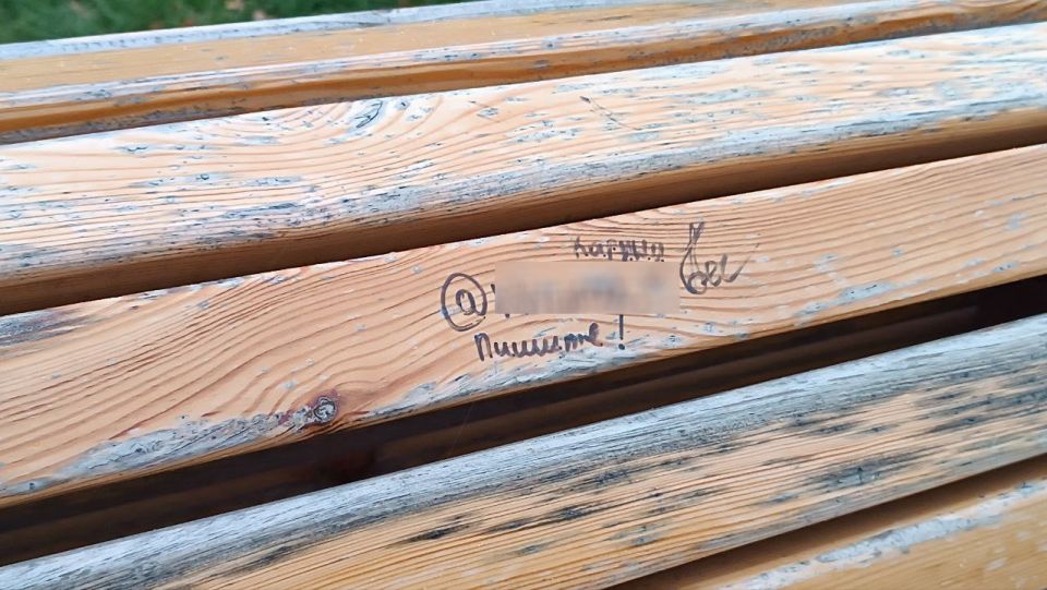 В мэрии пожаловались на юных калининградцах, которые испоганили новые скамейки