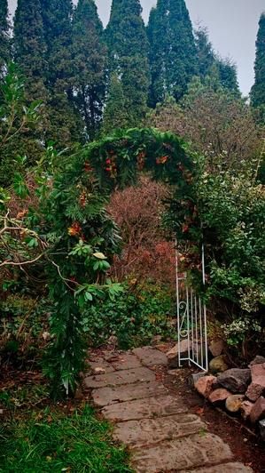 В ботсаду БФУ им. И. Канта по-новогоднему украсили вход в вечнозелёный лабиринт