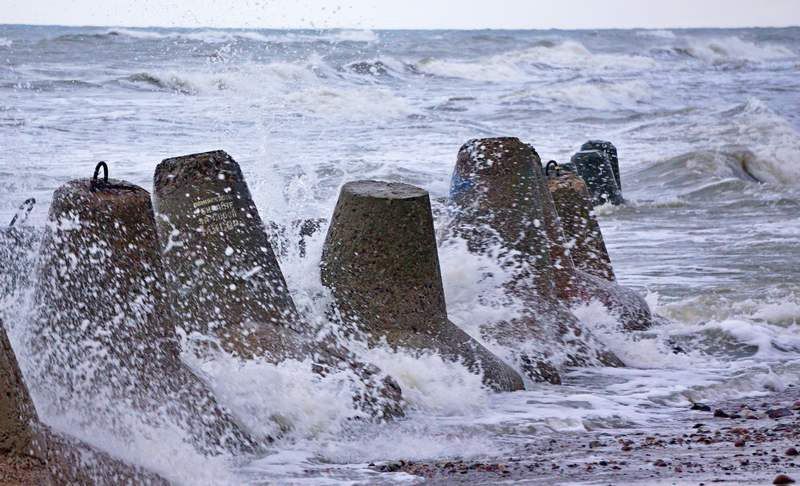 Калининградскую область о новом диком ветре предупредили вполголоса