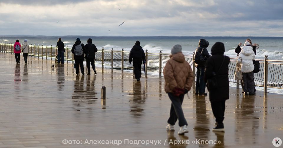 Синоптики рассказали, в каких районах Калининградской области ждать дождь и мокрый снег в субботу, 22 ноября