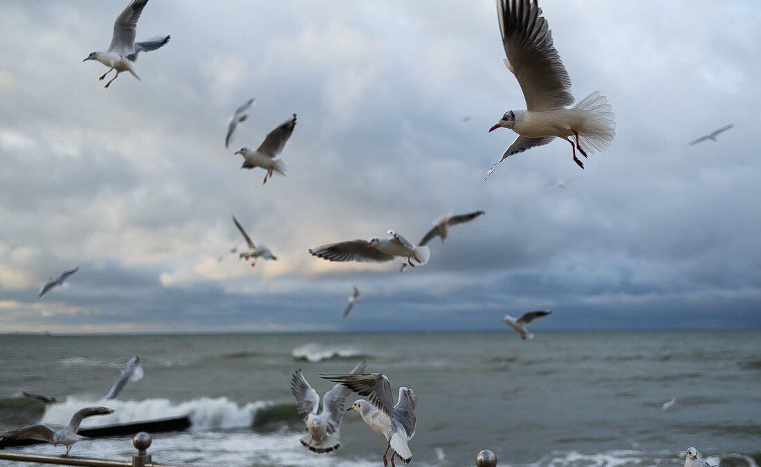 Калининградцам рассказала о погоде на субботу, 22 ноября