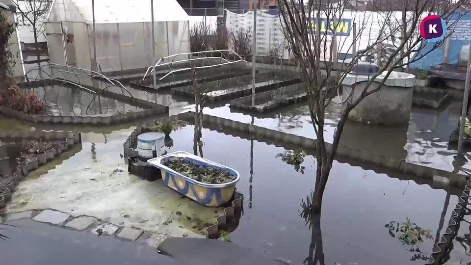 Холод, снег и первый гололед