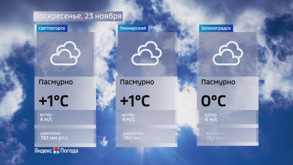 Погода на 23 ноября