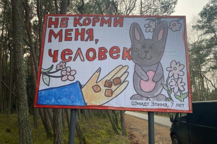 На Куршской косе появились оригинальные придорожные плакаты