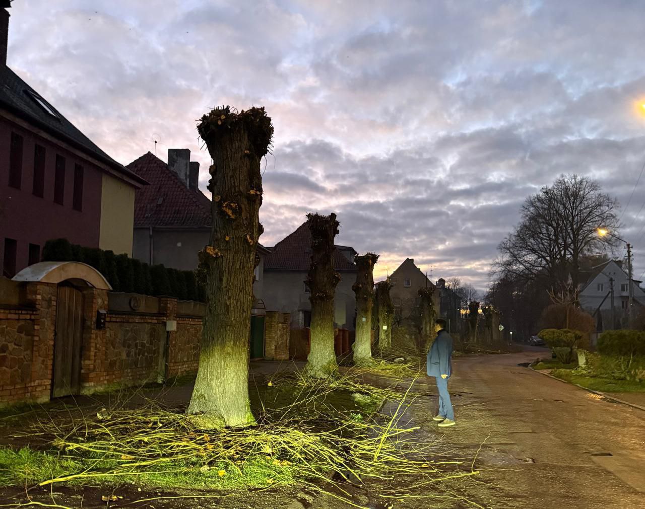 В Советске с размахом стригут деревья