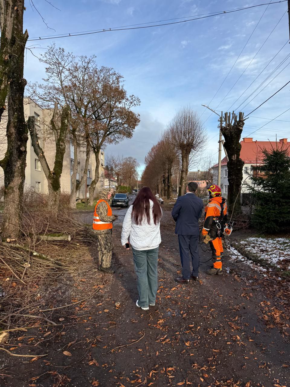 В Советске с размахом стригут деревья В Советске с размахом стригут деревья