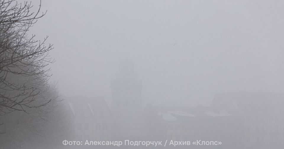 Утром выпадет туман и изморозь: прогноз погоды в Калининграде и области на понедельник