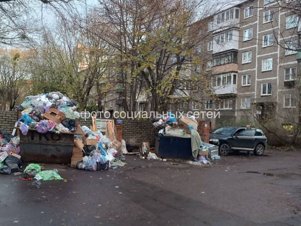 О результатах проверки по публикации в сети Интернет о непринятии мер по вывозу коммунальных отходов