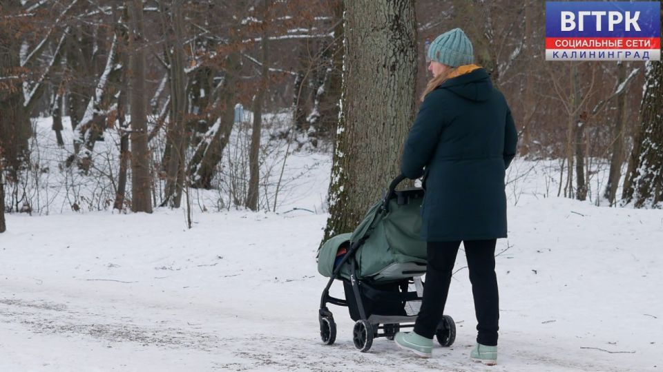 Калининградка при покупке коляски в интернете лишилась более 130 тысяч рублей