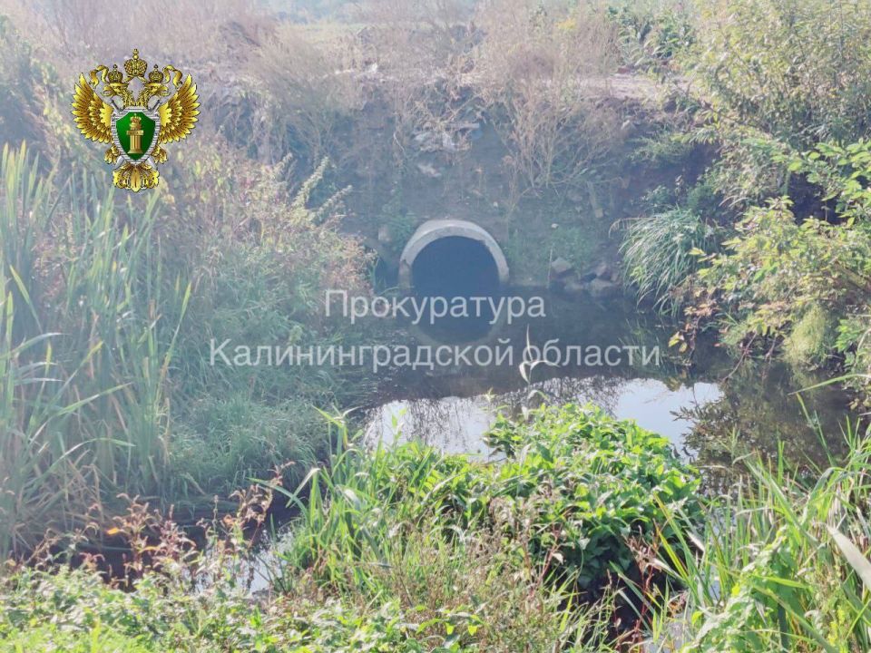 По иску природоохранного прокурора суд обязал предприятие производить очистку сточных вод