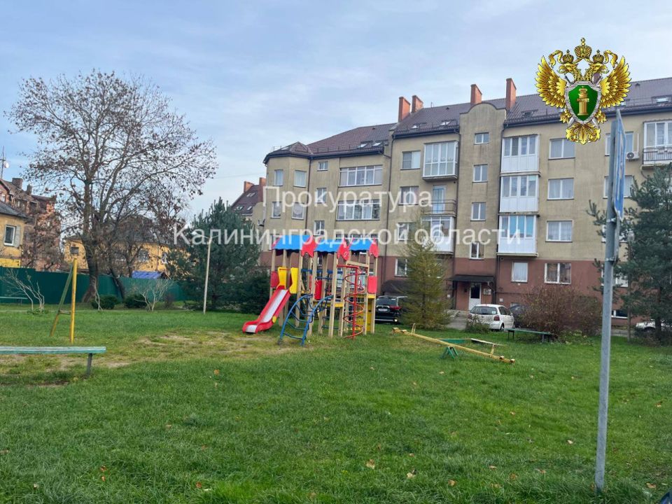 Прокуратура обратилась в суд с иском в интересах ребенка, пострадавшего в результате нападения собаки во дворе жилого дома