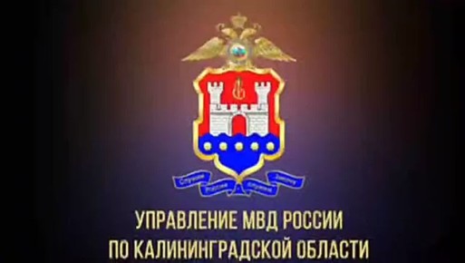    ,   ,  &quot; &quot;