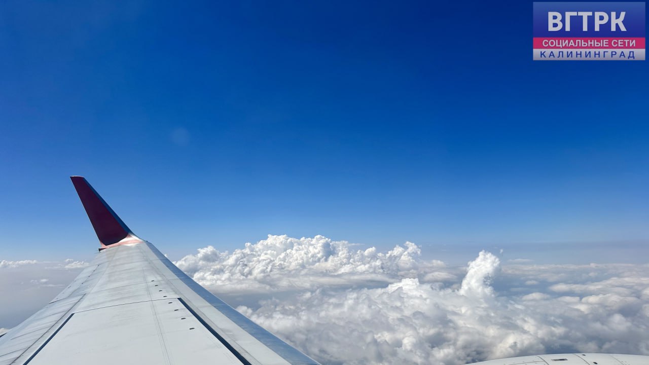 Мать с детьми не смогла улететь в Египет из-за ошибки в загранпаспорте