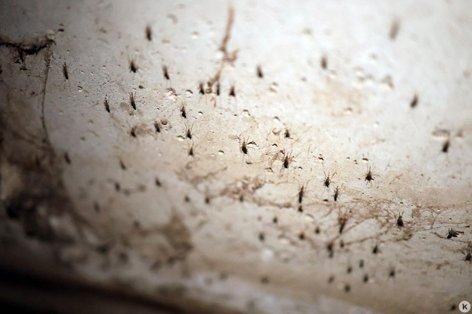 Жилой дом на Калязинской топит из-за засора городской ливнёвки — министерство регионального контроля