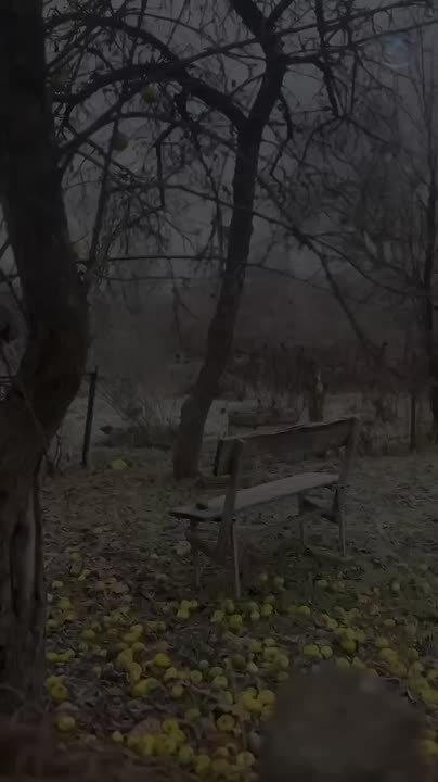 Время как будто замедляет свой ход, воздух становится хрустким и прозрачным