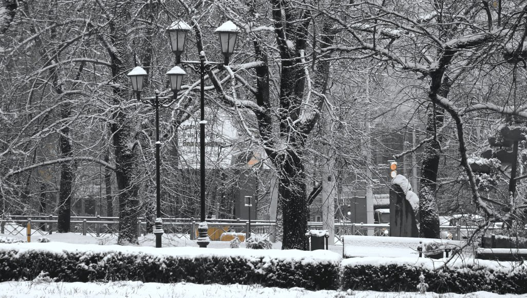 От 7 до 17 сантиметров к четвергу: Калининградскую область в ближайшее время накроют снегопады