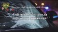 Прокуратура области призывает граждан соблюдать Правила дорожного движения!