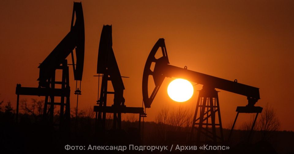 Сечин измерил долларовым аршином природные богатства России