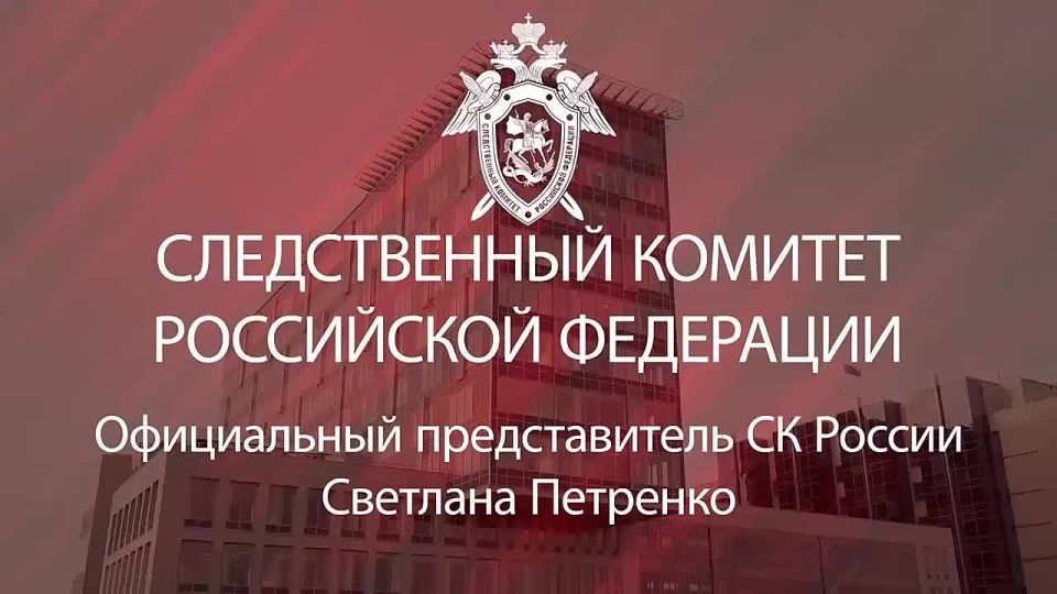 Официальный представитель СК России Светлана Петренко: