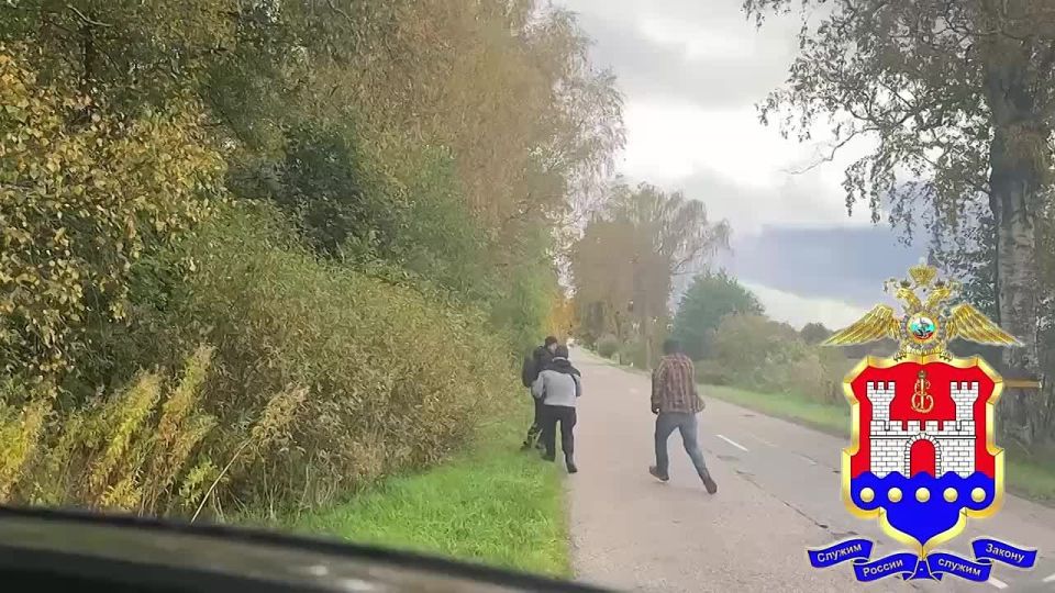 Закладчика с крупной партией амфетамина задержали полицейские в Калининграде