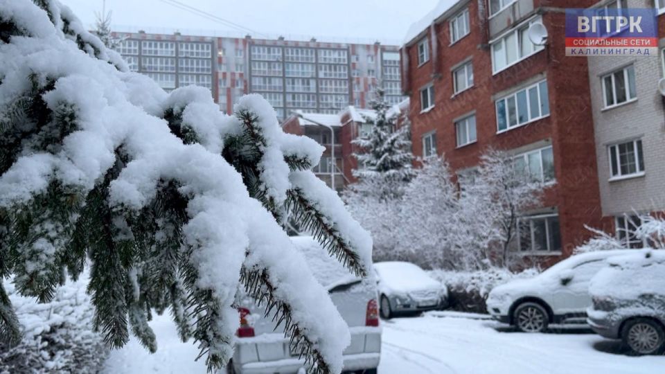 По информации метеорологов в Калининградскую область идет южный циклон, который принесет обильные снегопады с образованием снежного покрова высотой 10-15 см