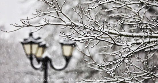 Южный циклон принесёт северные осадки: в Калининградской области 26 ноября ожидается снегопад