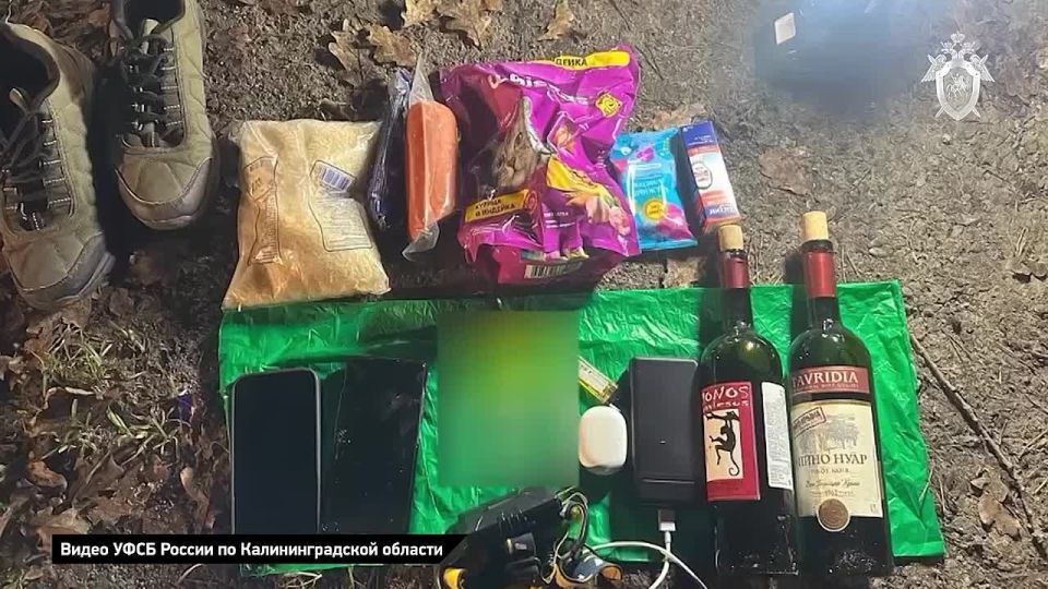 Силовики предотвратили теракт в Калининградской области, задержав подростка, который по заданию спецслужб Украины планировал устроить поджог на территории православного храма