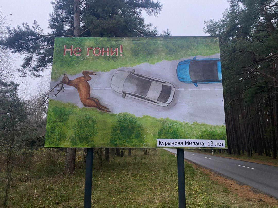 «Не корми меня!»: детские рисунки появились на билбордах вдоль дороги на Куршской косе «Не корми меня!»: детские рисунки появились на билбордах вдоль дороги на Куршской косе
