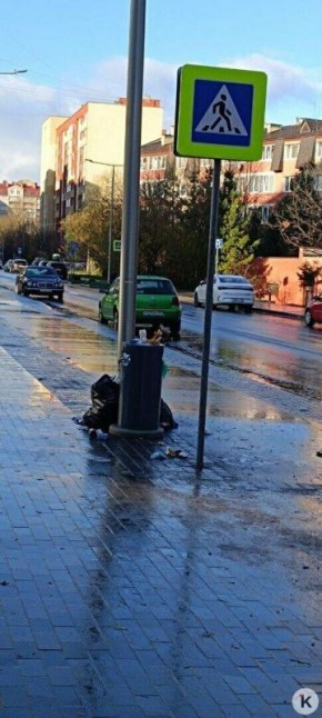 В Калининграде отремонтированная улица заросла мусором