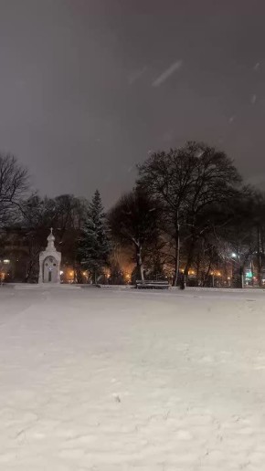 Калининград заметает снегом