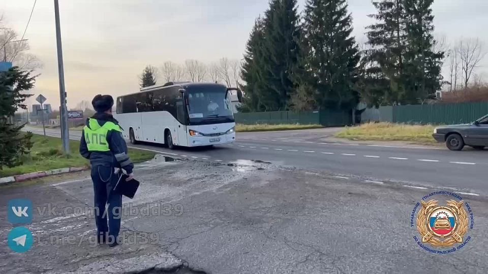 В Калининградской области проводятся проверки в сфере пассажирских перевозок
