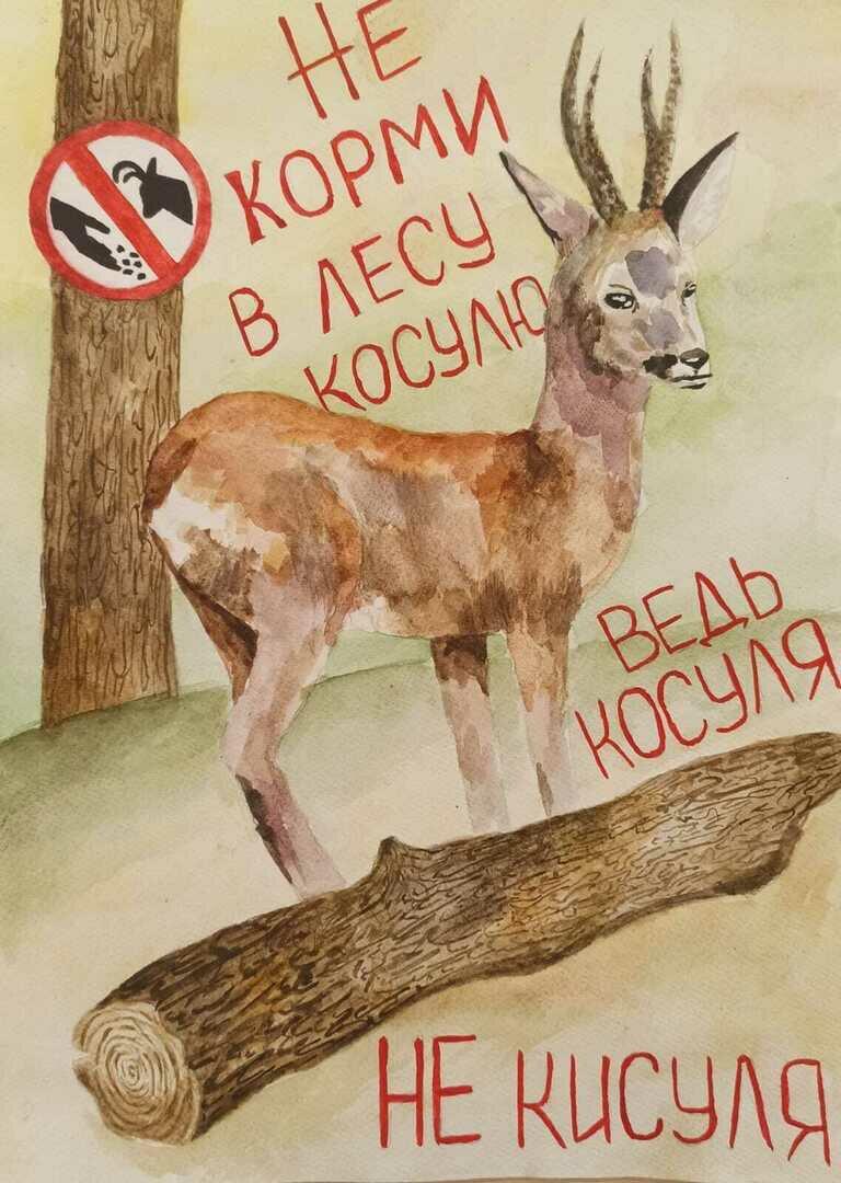 «Не корми меня!»: детские рисунки появились на билбордах вдоль дороги на Куршской косе «Не корми меня!»: детские рисунки появились на билбордах вдоль дороги на Куршской косе