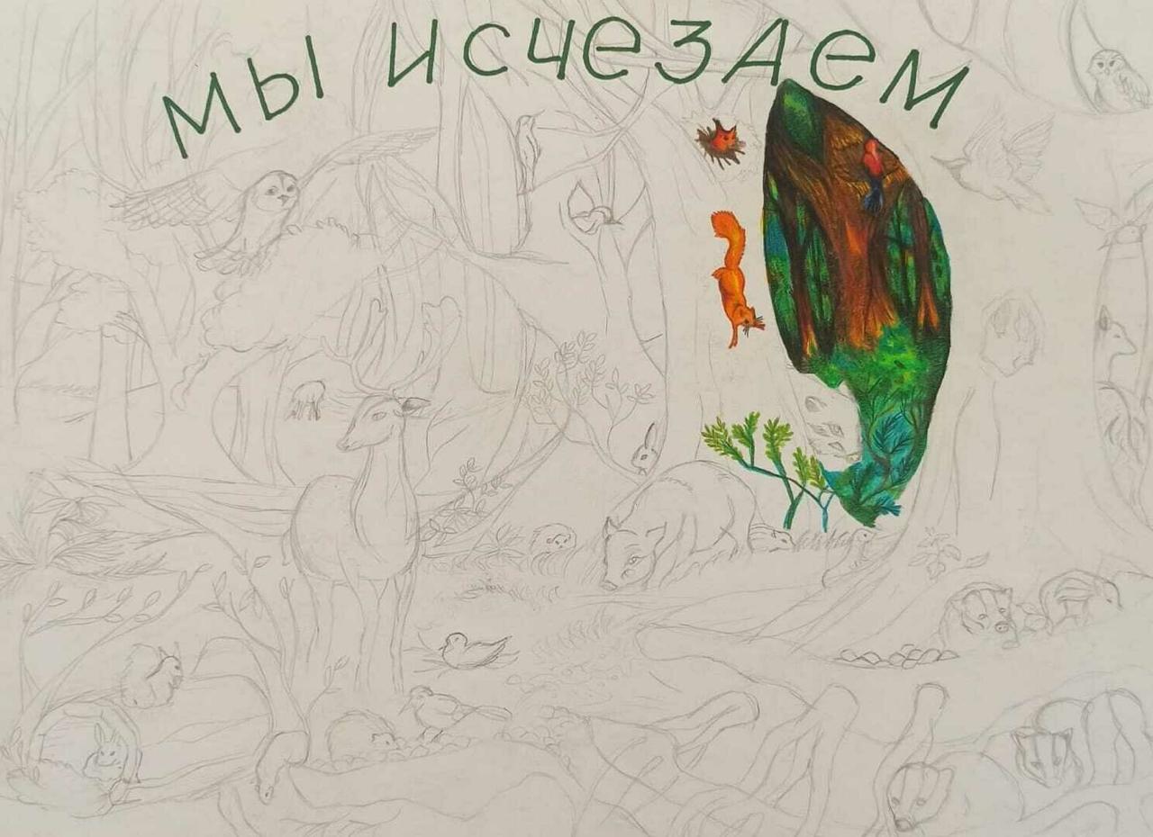 «Не корми меня!»: детские рисунки появились на билбордах вдоль дороги на Куршской косе «Не корми меня!»: детские рисунки появились на билбордах вдоль дороги на Куршской косе