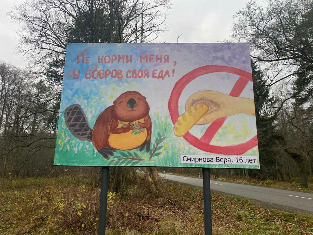 «Не корми меня!»: детские рисунки появились на билбордах вдоль дороги на Куршской косе «Не корми меня!»: детские рисунки появились на билбордах вдоль дороги на Куршской косе