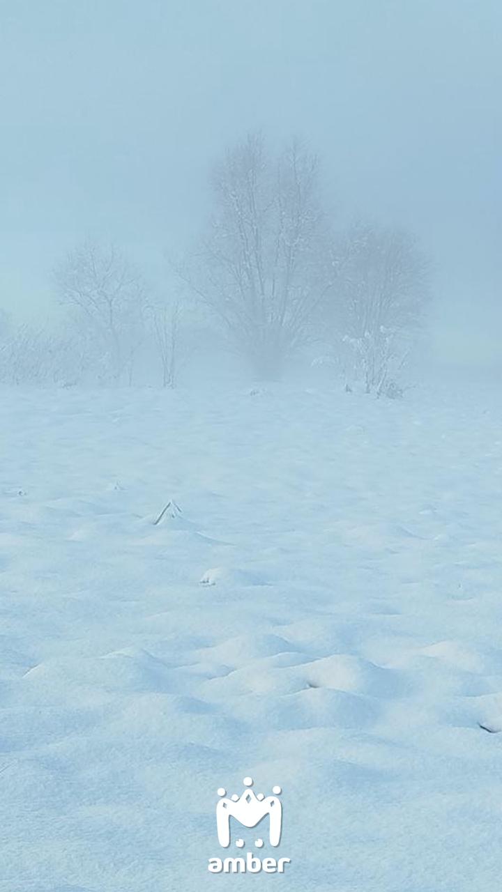 Туман опускается на область, передаёт РСЧС Туман опускается на область, передаёт РСЧС