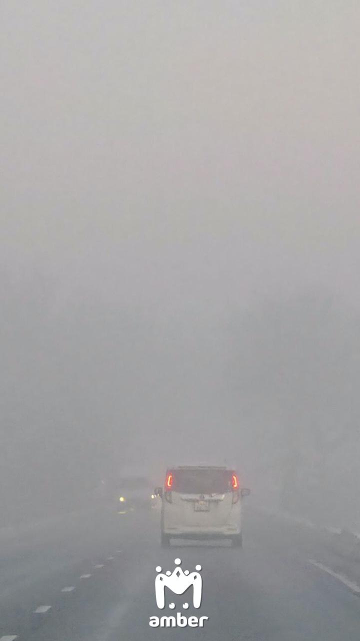 Туман опускается на область, передаёт РСЧС Туман опускается на область, передаёт РСЧС