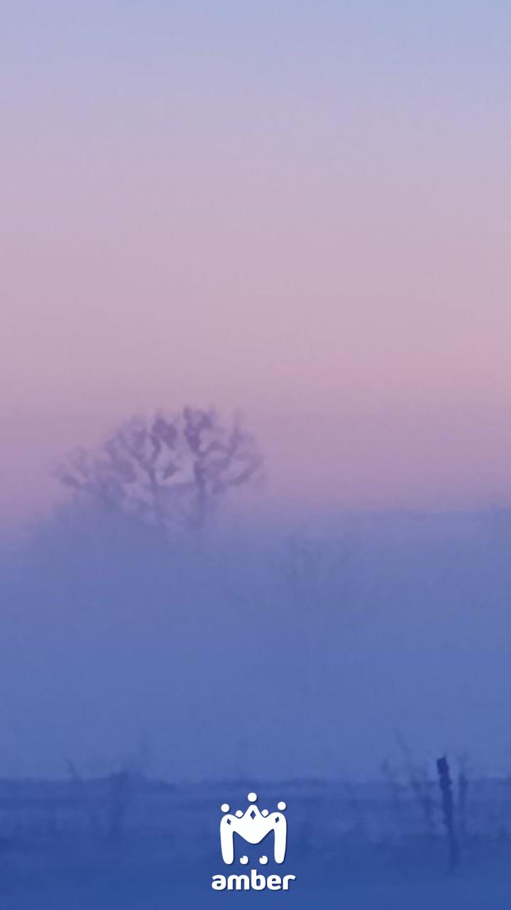 Туман опускается на область, передаёт РСЧС Туман опускается на область, передаёт РСЧС