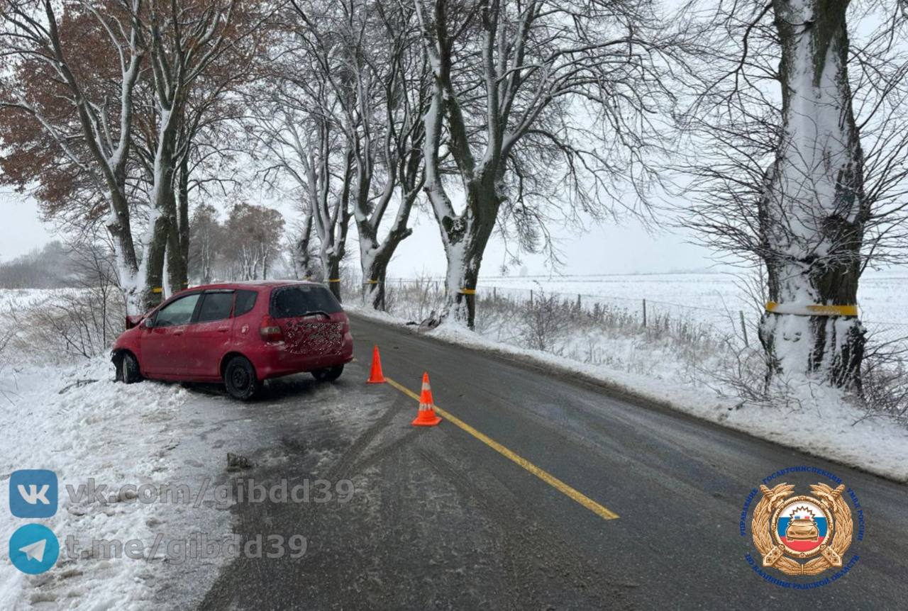 Наезд на придорожное дерево в Гурьевском районе