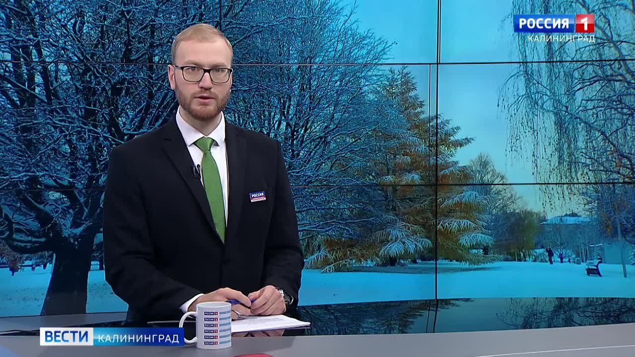 Калининградская область встретила снежное утро
