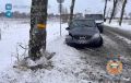 Наезд на придорожное дерево в Неманском районе