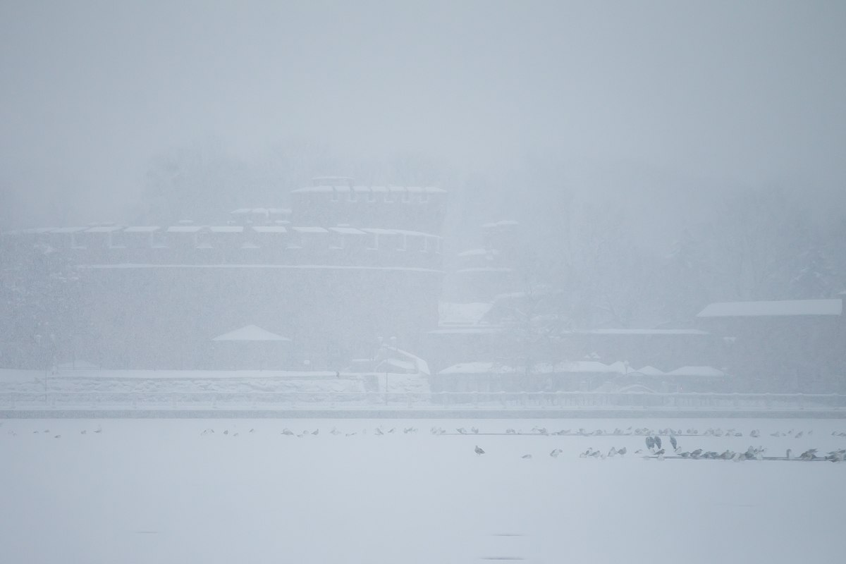 Доброе снежное утро!. Регион ещё немного поддержит южный циклон: утром будет щедрый снег, местами с ледяным дождём и гололедицей