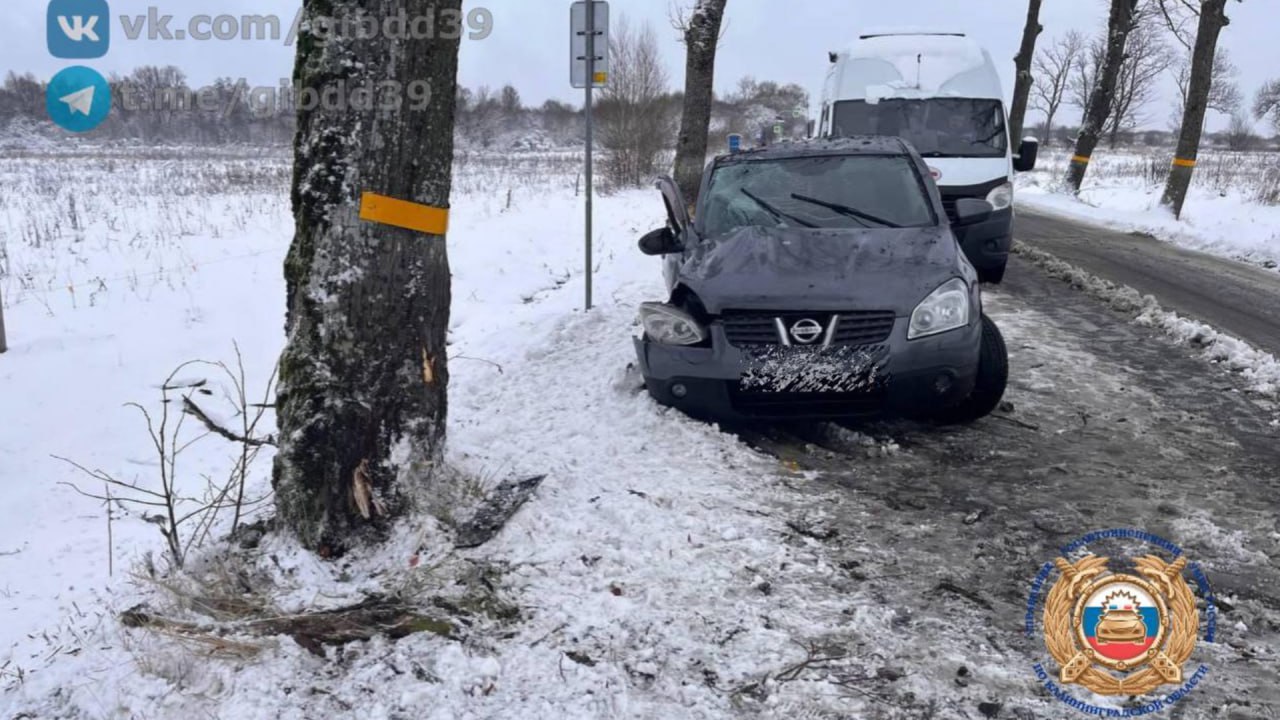 В Неманском районе легкой автомобиль врезался в придорожное дерево