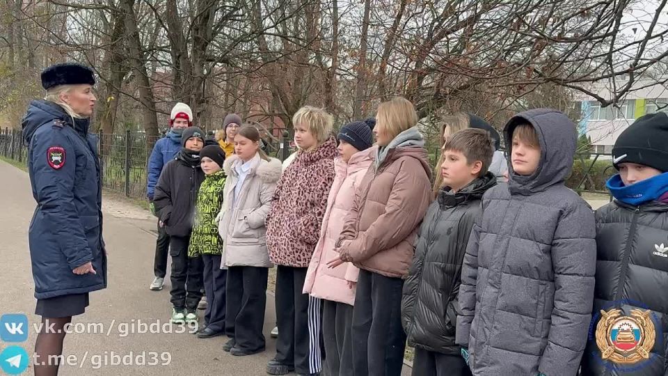 В Калининграде сотрудники Центра ДиТН ПБДД ГИБДД проводят пешие экскурсии дорожной безопасности