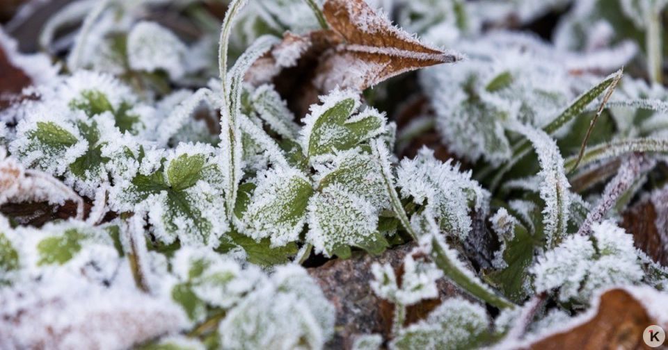Погода в Калининграде и области в субботу