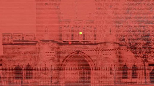 Домашняя собака укусила девушку в Прибрежном