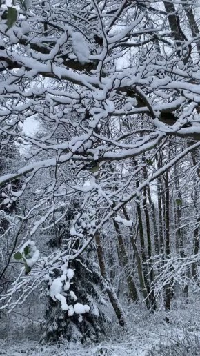  , !.             03 C,     4 C,       0+2 C.    ...